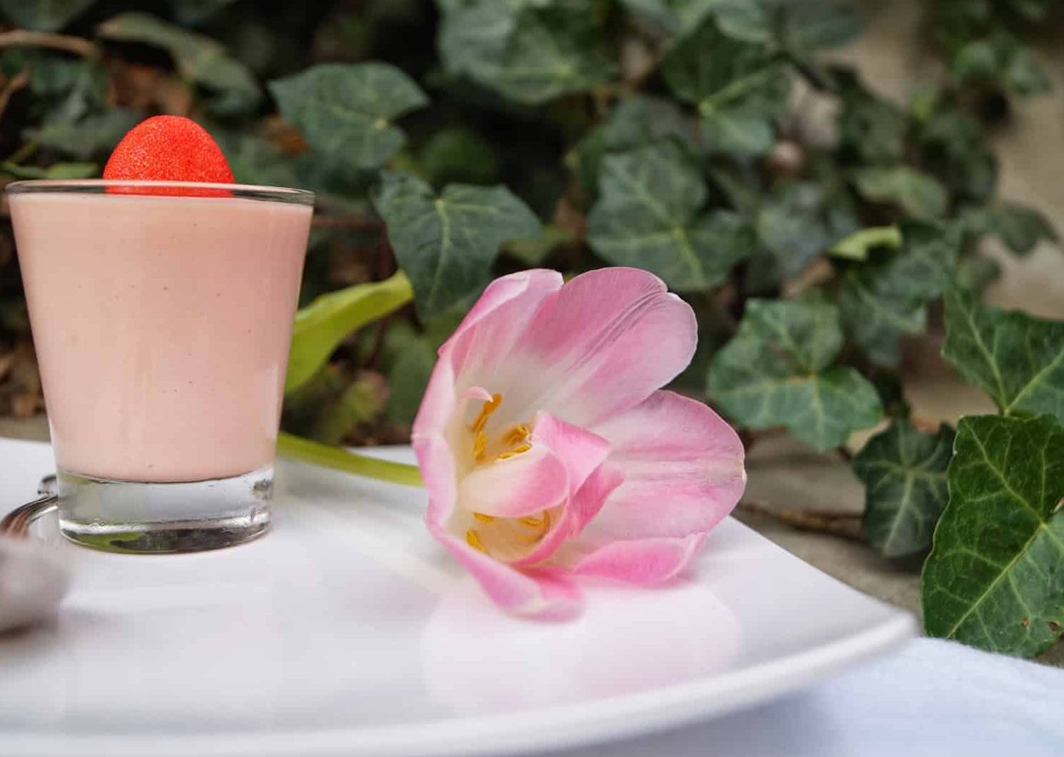 Petite crème Tagada