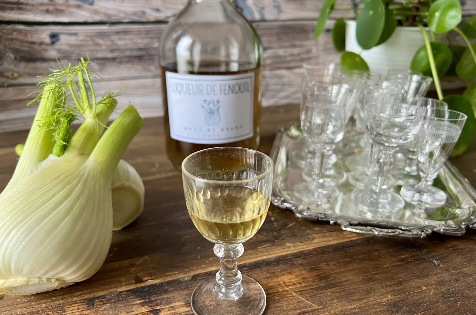 Liqueur de fenouil