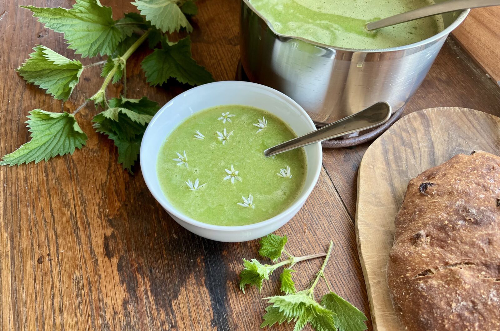 Soupe d'orties
